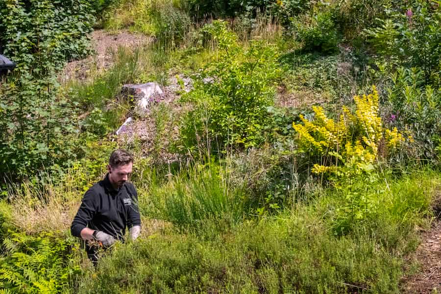 Louis Adlington gardening on a slope behind the Main Conference Hall.