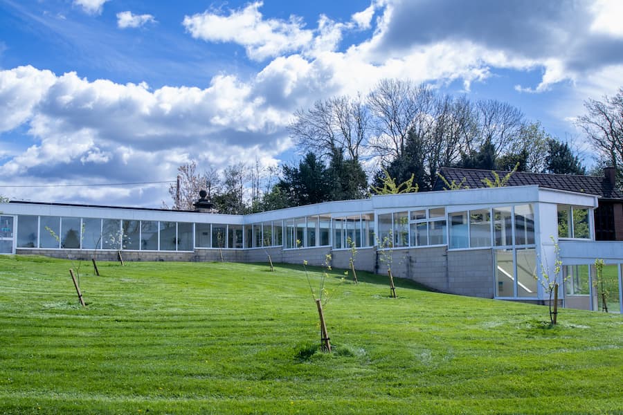 Several trees in The Hayes' orchard with lush green grass and blue sky.