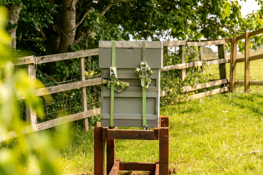 The hive at Highgate House