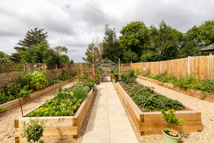A wide angle view of the entire kitchen garden showing the centre 2 beds leading towards the greenhouse and the side beds that follow the wall.